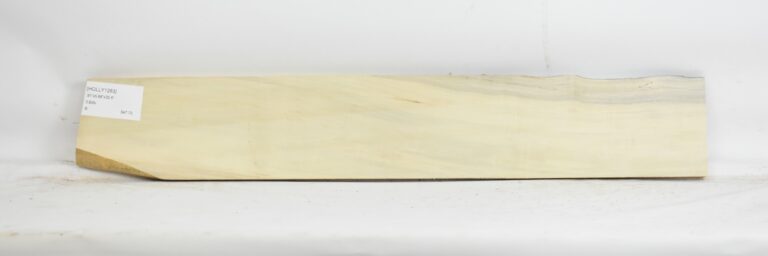 HOLLY1283_1