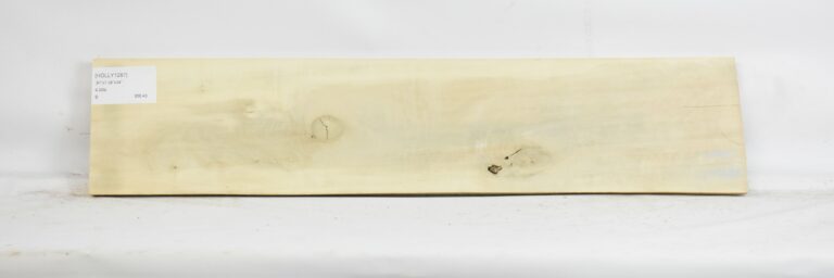 HOLLY1287_1
