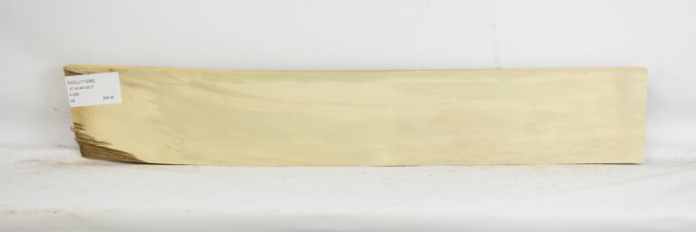 HOLLY1288_1