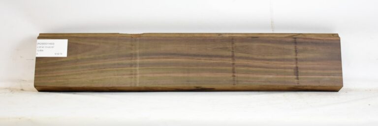 Rosewood - East Indian 10 ROSEEI1493_1