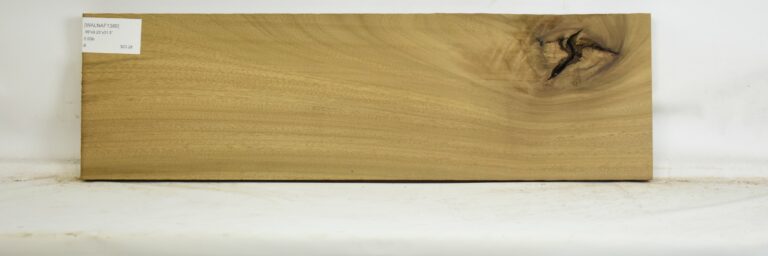 Walnut - African 13 WALNAF1389_1