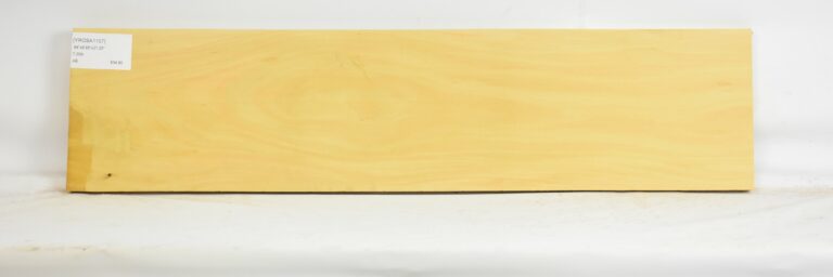 Yellow Rosa 6 YROSA1107_1