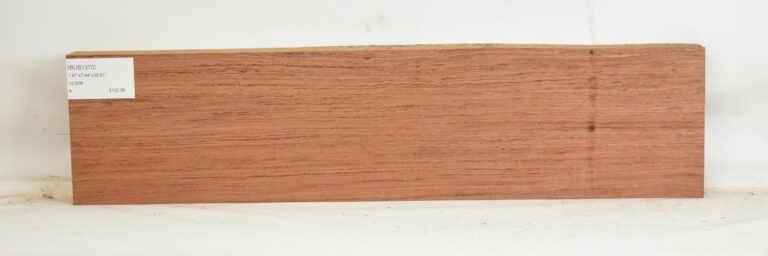 BUB1370_1