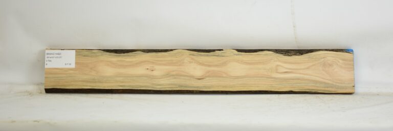 Blackwood - Acacia 13 BWAC1492_1