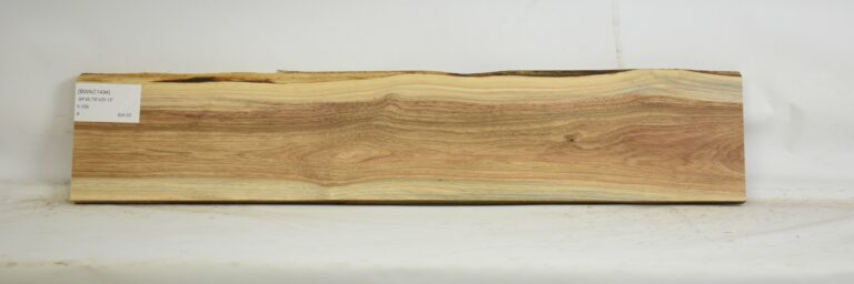Blackwood - Acacia 11 BWAC1494_1