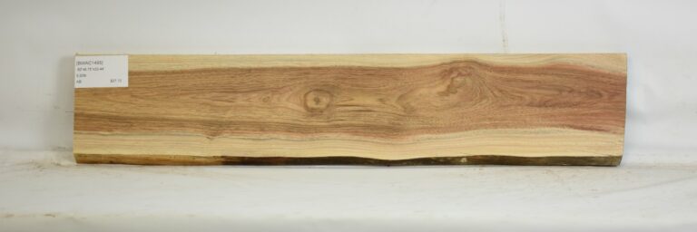Blackwood - Acacia 10 BWAC1495_1