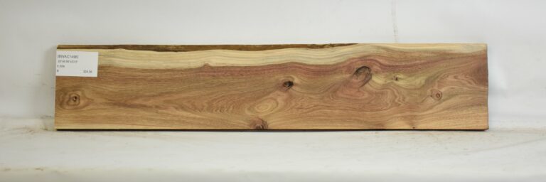 Blackwood - Acacia 9 BWAC1496_1