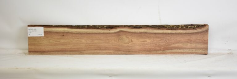 Blackwood - Acacia 5 BWAC1500_1