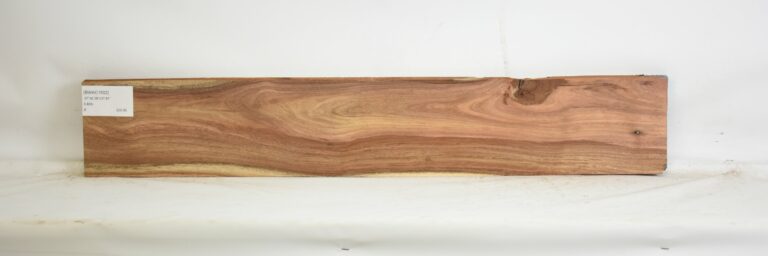 Blackwood - Acacia 3 BWAC1502_1