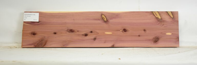 Cedar - Aromatic 17 CEDARARO1318_1