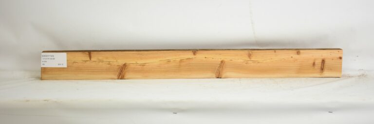 Cedar - Himalayan 8 CEDH1125_1