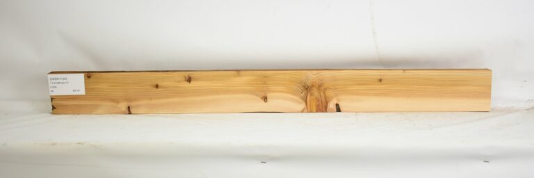 Cedar - Himalayan 17 CEDH1130_1