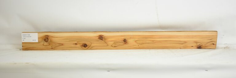 Cedar - Himalayan 11 CEDH1136_1