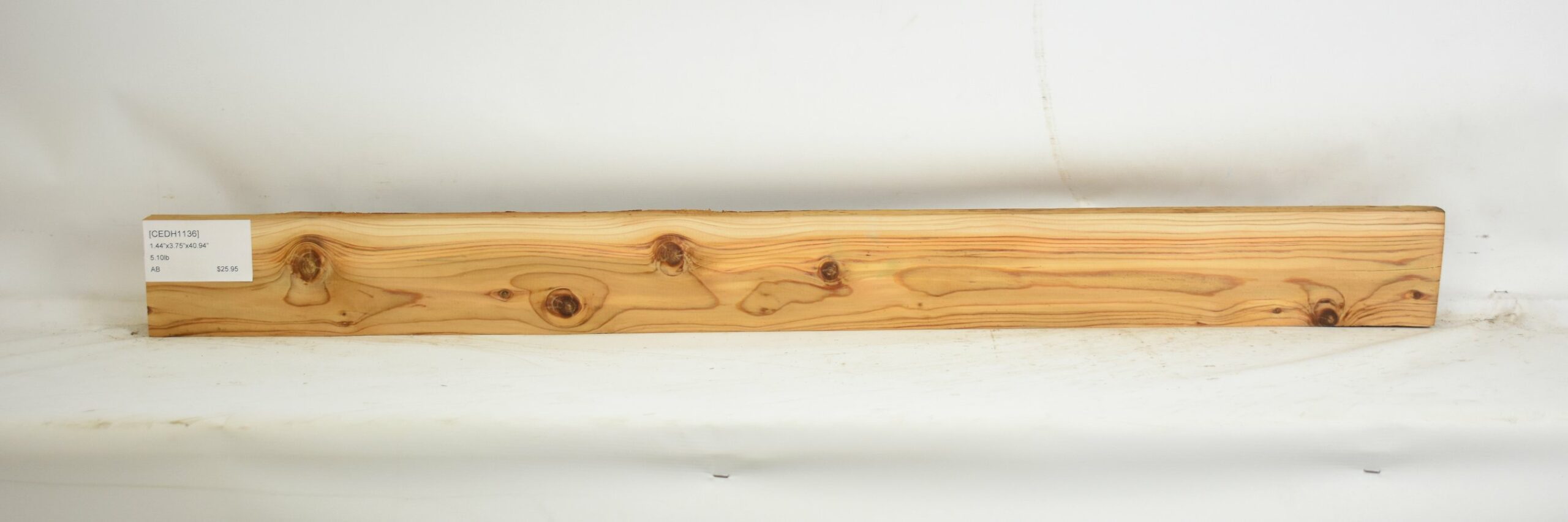 Cedar - Himalayan 1 CEDH1136_1
