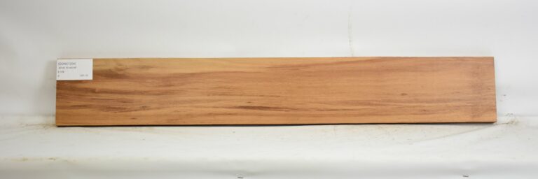 GONC1204_1