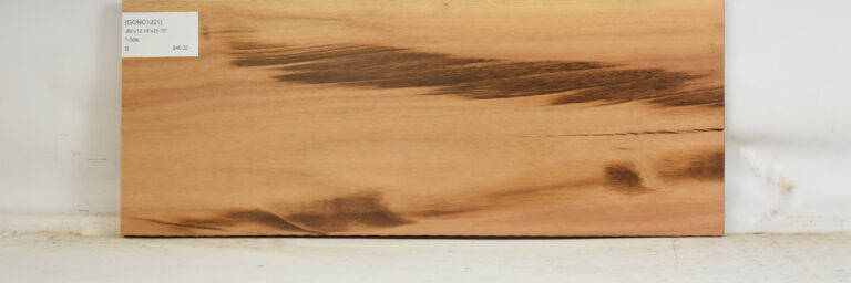 Goncalo Alves 4 GONC1221_1
