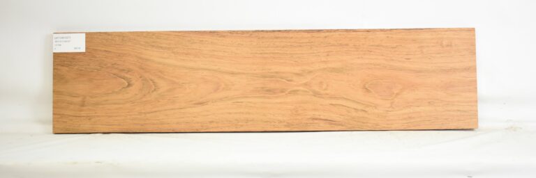 JATOB1207_1