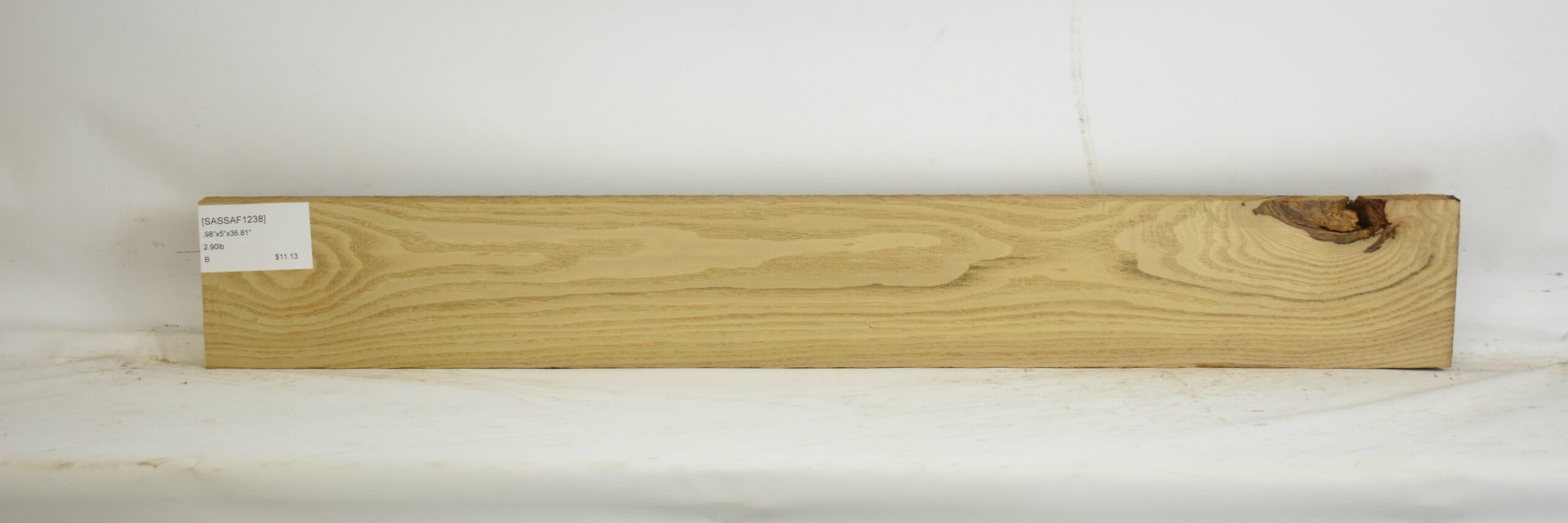 Sassafras 2 SASSAF1238_2