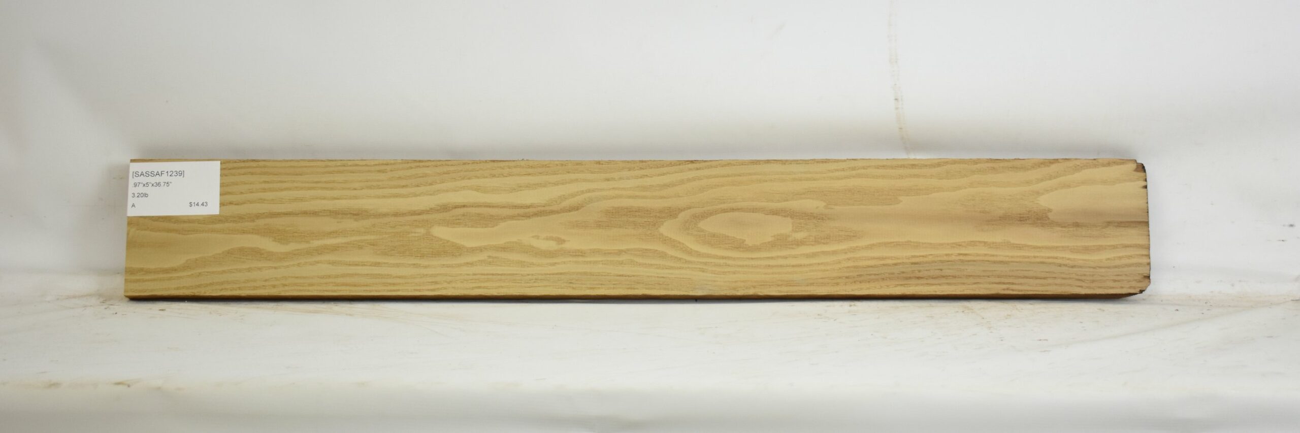 Sassafras 2 SASSAF1239_2