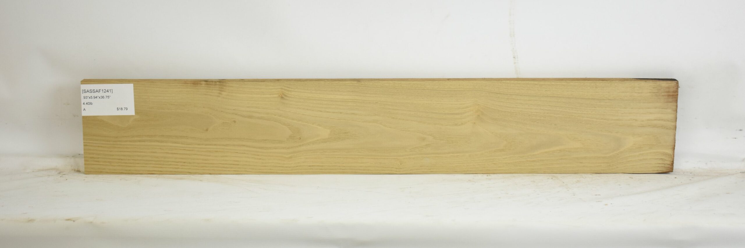 Sassafras 1 SASSAF1241_1