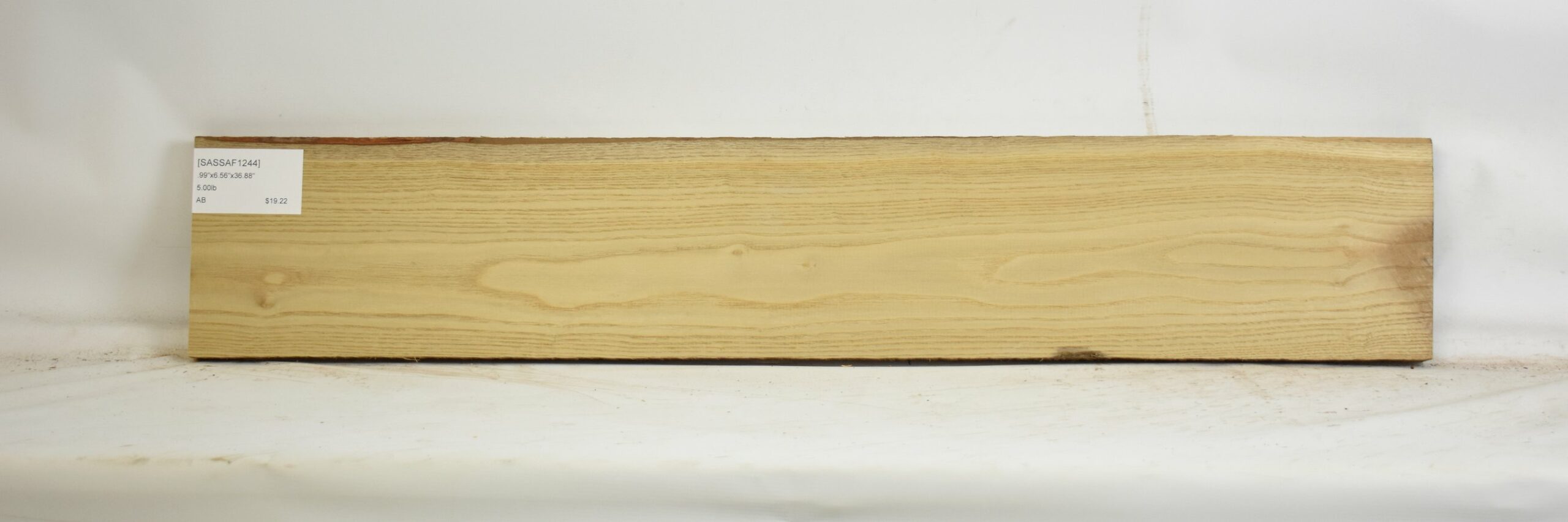 Sassafras 2 SASSAF1244_2